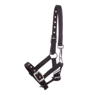 Halfter für Fohlen und Jährlinge Kavalkade