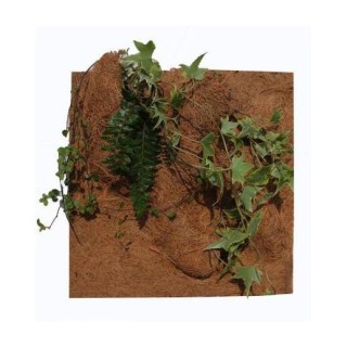Terrarium-Zubehör Reptiles Planet Planting Background