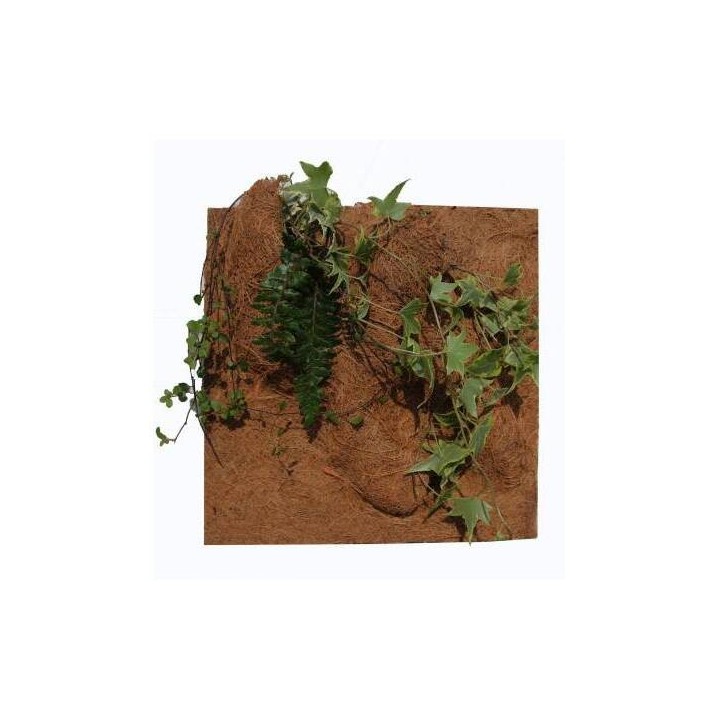 Terrarium-Zubehör Reptiles Planet Planting Background