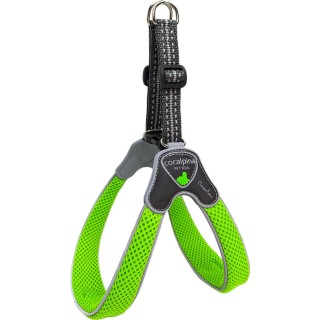 Coralpina Geschirr Cinquetorri Neongrün - 2