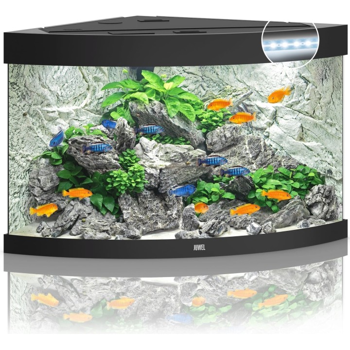 Juwel Trigon 190 LED Aquarium - schwarz