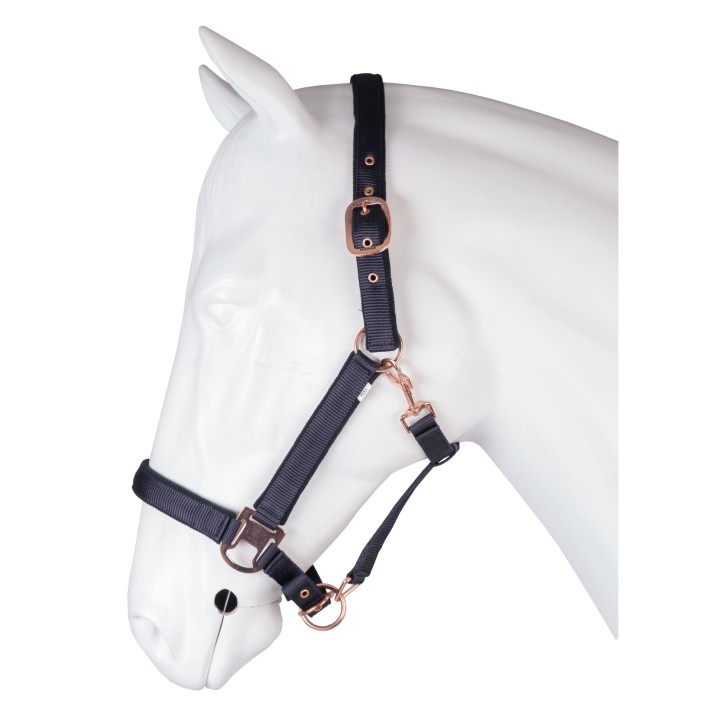 Halfter Horka Elegant