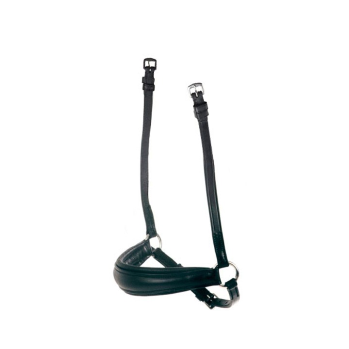 Reithalfter Weatherbeeta Collegiate Mono Crown