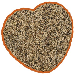 Nahrungsergänzungsmittel für Haltungskanarien Duvoplus