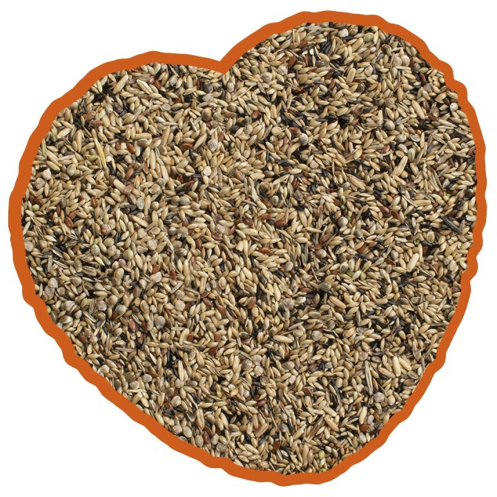 Nahrungsergänzungsmittel für Haltungskanarien Duvoplus