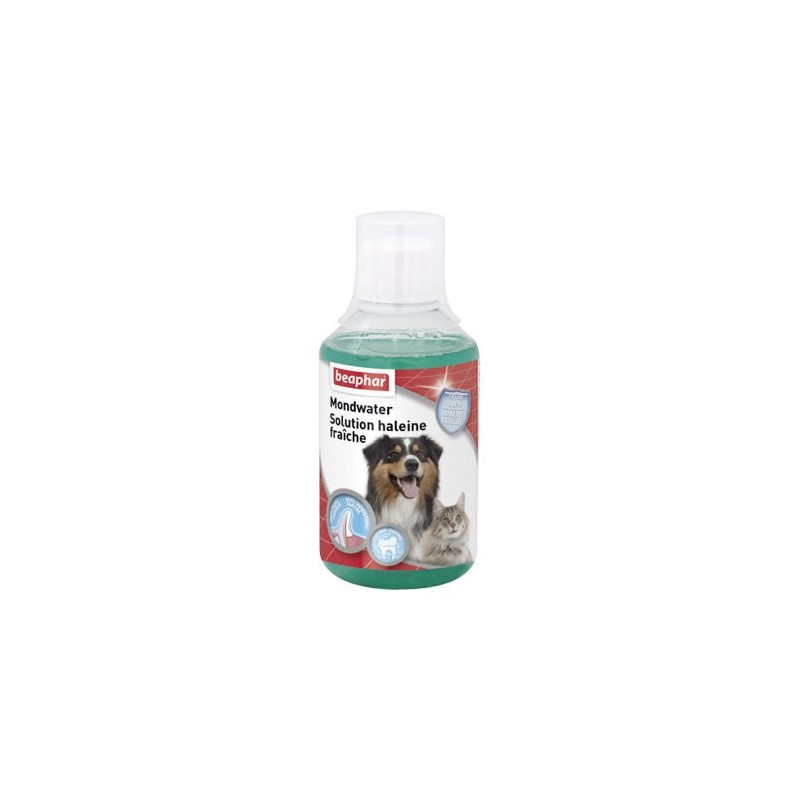 Beaphar Mundwasser - 2 x 250 ml