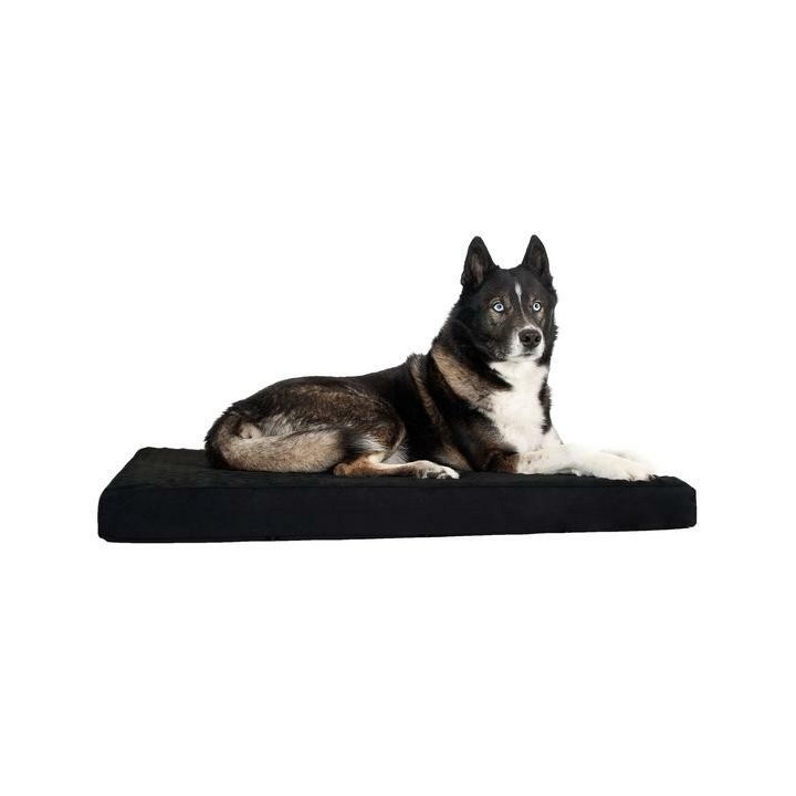 Matelmemory ace Back on Track L