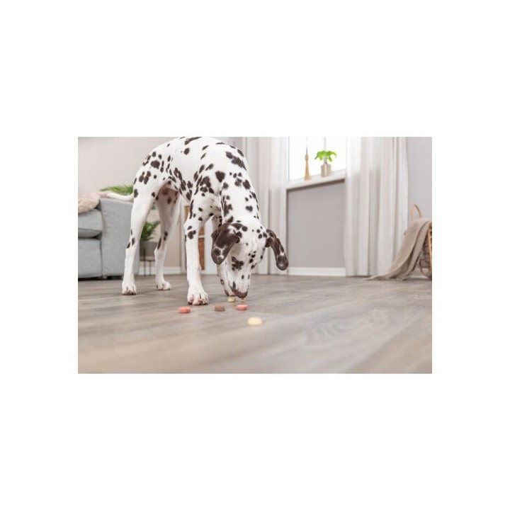 Trixie Vegan Cookie Snack Loops - 1,3 kg