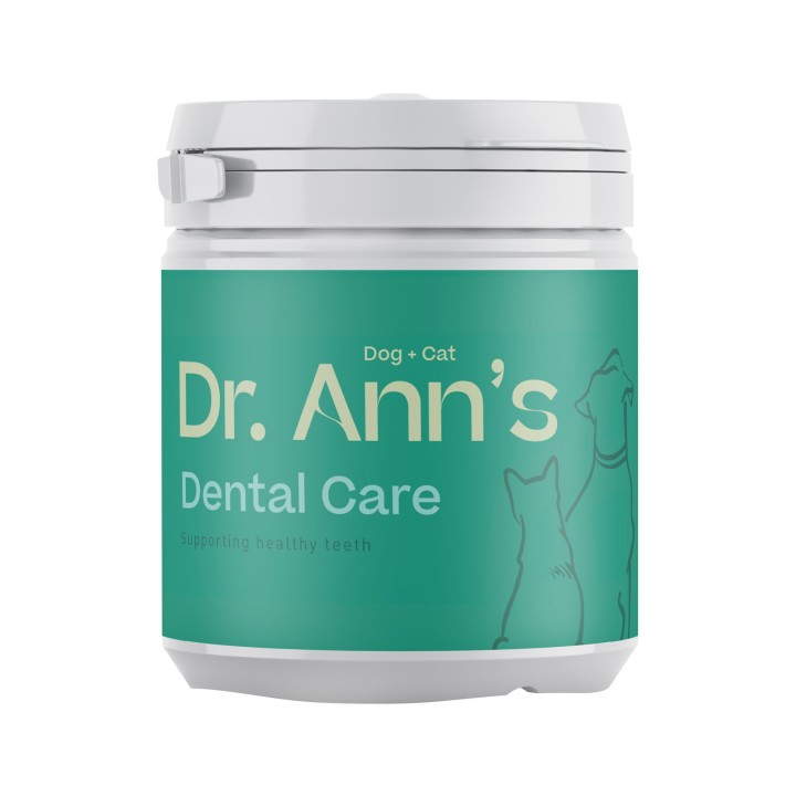 Dr. Ann's Dental Care - 40 g