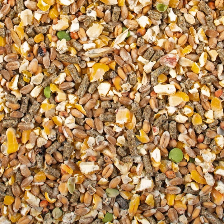 Nahrungsergänzungsmittel Duvoplus