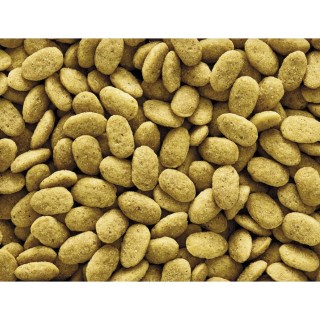 Nahrungsergänzungsmittel für Vögel Nobby Pet Nutribird P15 Original 1 kg