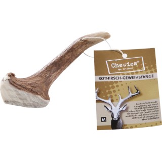 Chewies Rothirsch Geweihstange - M