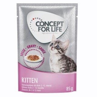 Gemischtes Sparpaket Concept for Life Gelee & Soße 24 x 85 g  - Kitten in Soße und Gelee