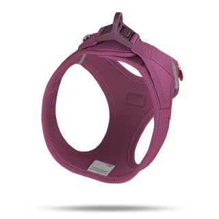 Hundegeschirr Curli Air-Mesh