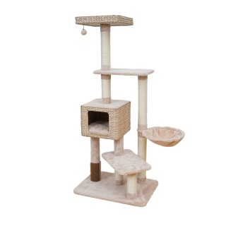 Kratzbaum Ebi Barbados