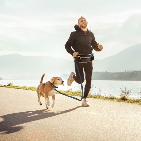 Bauchgurt mit Leine für Hunde Duvoplus