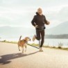 Bauchgurt mit Leine für Hunde Duvoplus