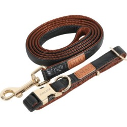 Verstellbares Halsband für Hunde Zolux Imao Mayfair