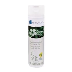 Shampoo für Hunde und Katzen LDCA Dermoscent Pyoclean
