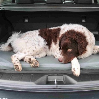 Bia Original Matratze Schwarz - 118 x 73 x 5 cm