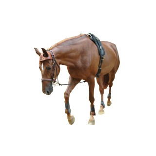 Kit Doppelposten isk ohne led - 6 m Verlängerung Lenco Marine Inc. 11841-002