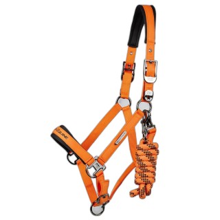 Nylonhalfter für Pferde Premier Equine Duco