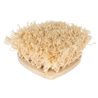 TIAKI Schnüffelbrett Herz für Kleintiere - ca. L 30 x B 30 x H 10 cm