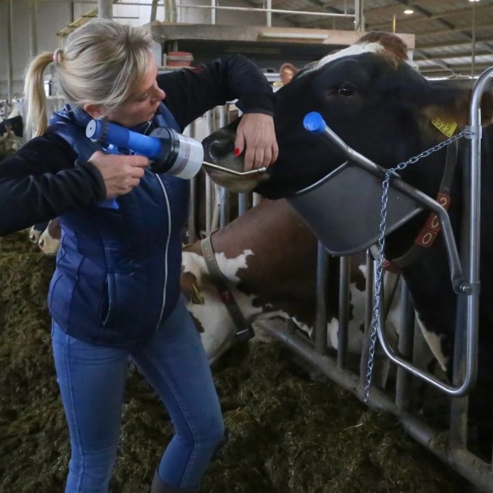 Zubehör für Rinder Kopfheber Vink