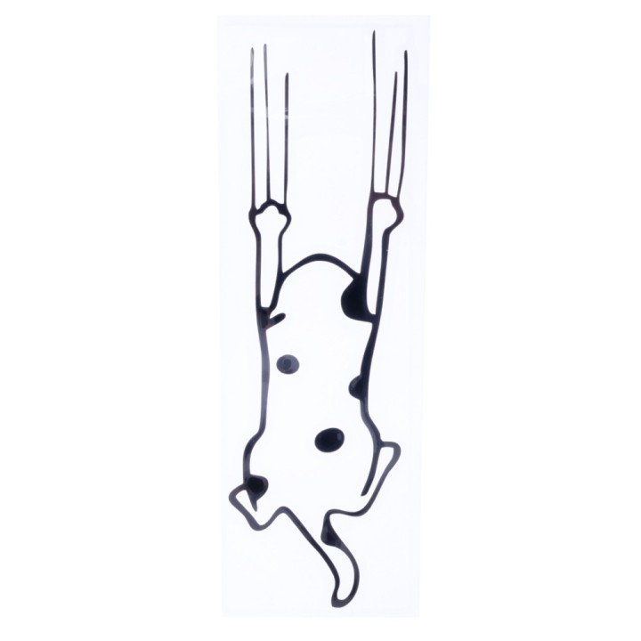 TIAKI Stoßstangen-Aufkleber „Kratzende Katze“ - B 16 x H 5 cm