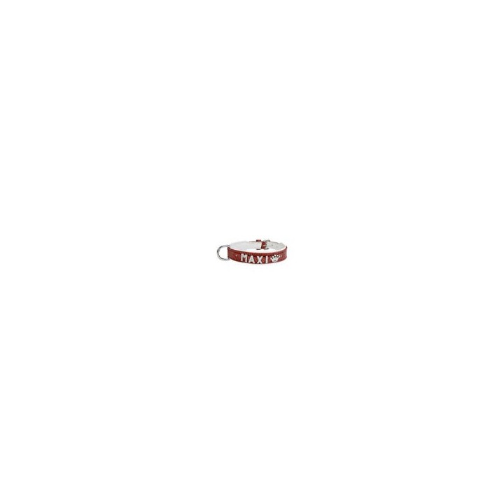 Schecker - MyName Leder-Halsband, rot [30 cm x 15 mm - Buchstabentyp: Kristall]