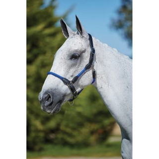 Lederhalfter für Pferde Kincade