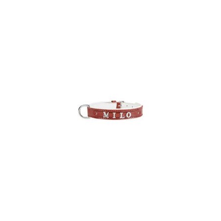 Schecker - MyName Leder-Halsband, rot [40 cm x 20 mm - Buchstabentyp: Cowboy]