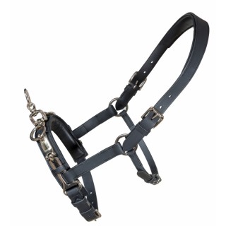 Halfter für Pferd Karlslund Fengur Kapsun