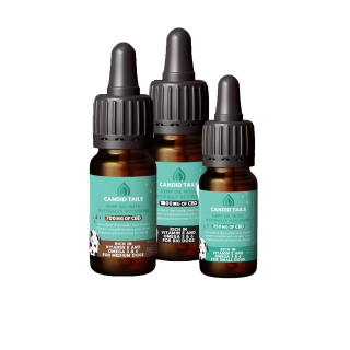 Candid Tails Hanföl mit CBD für mittelgroße Hunde - 20 ml