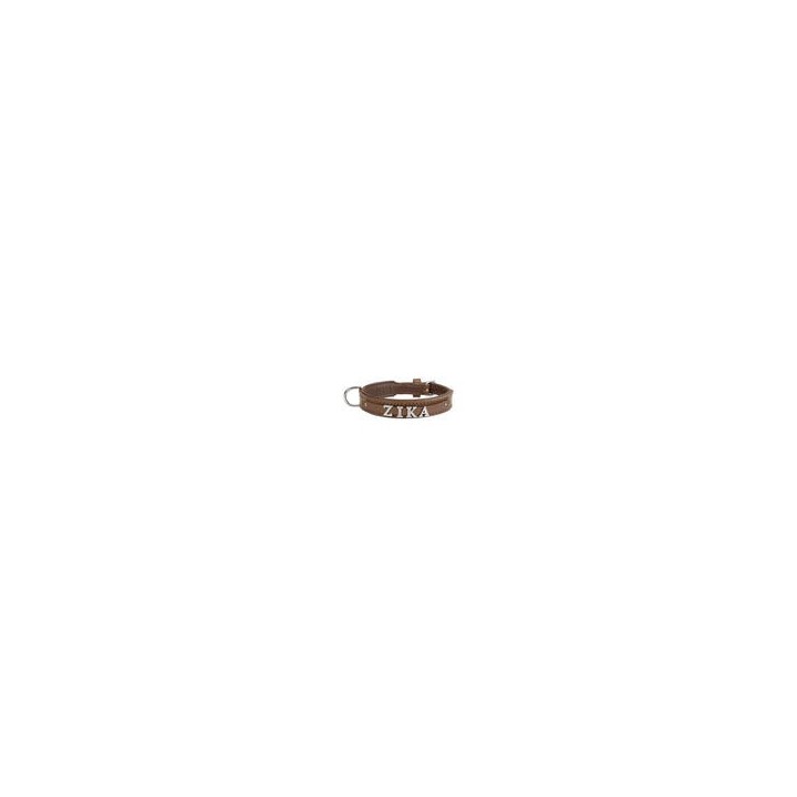 Schecker - MyName Leder-Halsband, braun [30 cm x 15 mm - Buchstabentyp: Cowboy]