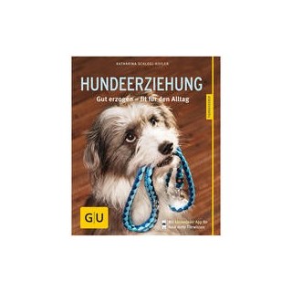 Hundeerziehung: Gut erzogen - fit für den Alltag