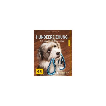 Hundeerziehung: Gut erzogen - fit für den Alltag