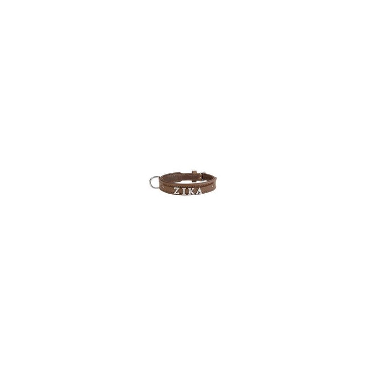 Schecker - MyName Leder-Halsband, braun [40 cm x 20 mm - Buchstabentyp: Cowboy]