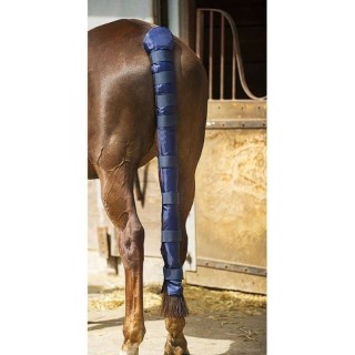 Schweifschoner Norton