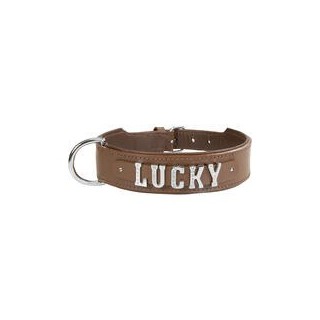Schecker - MyName Leder-Halsband, braun [55 cm x 35 mm - Buchstabentyp: Cowboy]
