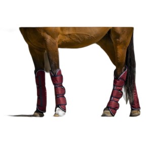 Transportgamaschen für Pferde Equithème Tyrex 1200D