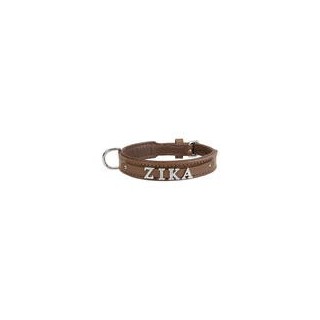 Schecker - MyName Leder-Halsband, braun [35 cm x 15 mm - Buchstabentyp: Cowboy]
