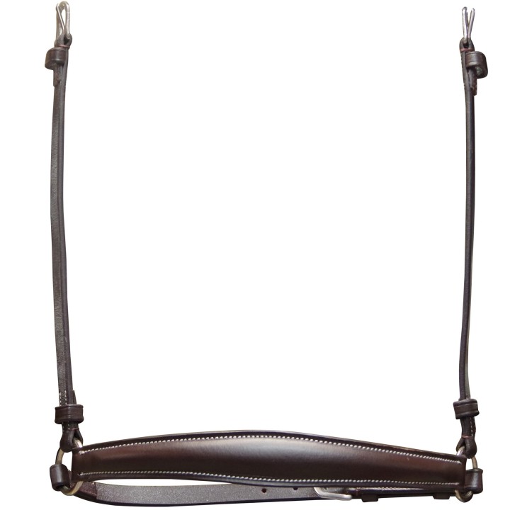 Deutsches Reithalfter Pferd Canter