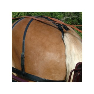 Kruppe Pferdegeschirr Chetak