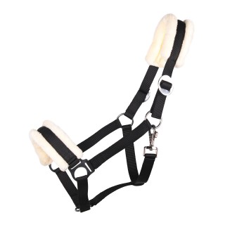 Halfter Q-essentials Cali