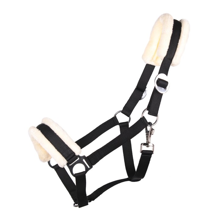 Halfter Q-essentials Cali