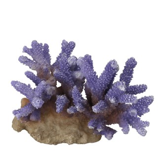 Aquariumdekoration Aqua Della Coraal Acropora
