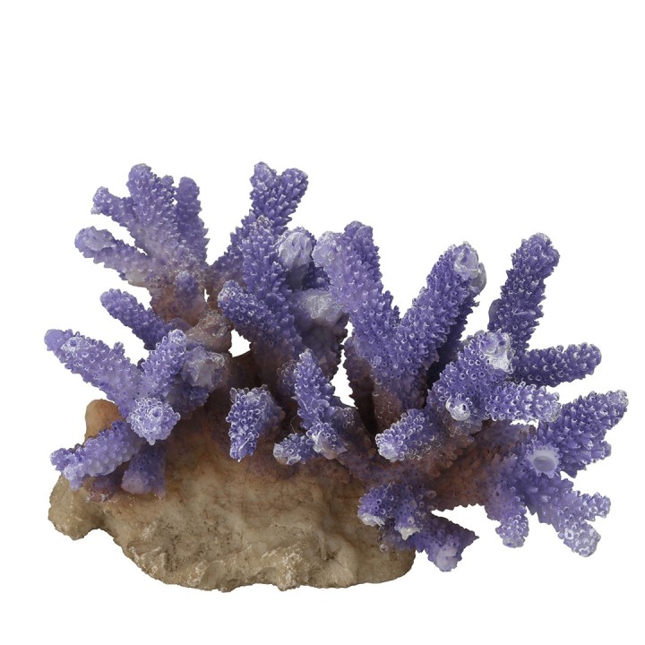 Aquariumdekoration Aqua Della Coraal Acropora