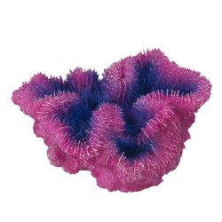 Aquariumdekoration Aqua Della Coraal Symphylia