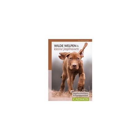 Wilde Welpen & kleine Jagdnasen